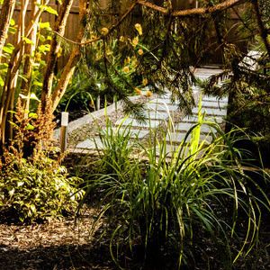 Montreal Botanical Gardens for a Contemporary Landscape with a Combinaison Dlments Combination of and Urban   Back Court Garden Ii by Espaces Viridis