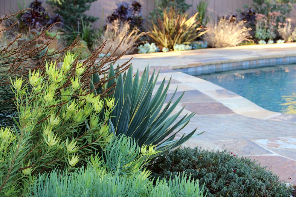 National Tropical Botanical Garden for a Contemporary Landscape with a Flagstone and Dry Garden, Palos Verdes by Bliss Garden Design