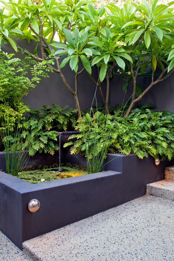 National Tropical Botanical Garden for a Tropical Landscape with a Modern and Melville Courtyards by Cultivart Landscape Design