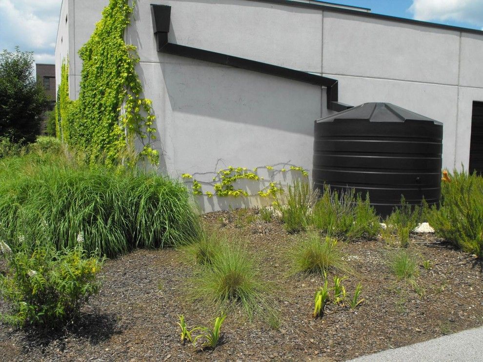 Nelson Irrigation for a Industrial Landscape with a Rain Water Harvesting and Rain Water Harvesting by the Nelson Team