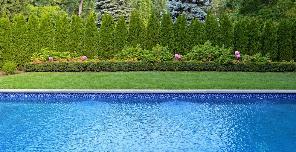 Northport Water for a Modern Pool with a Swimming Pool and Traditional Elegance in Northport, Ny by Above All Masonry Design, Inc