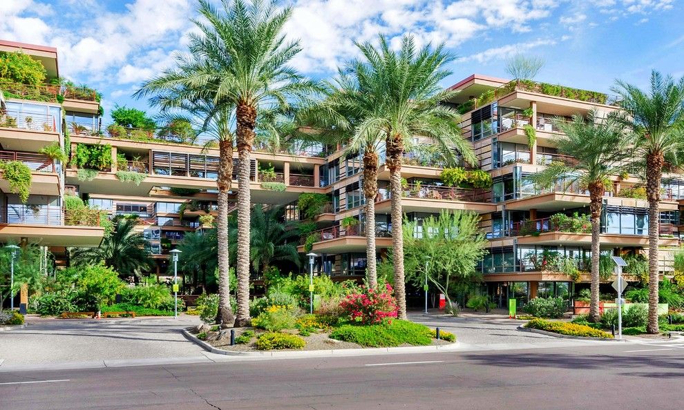 Optima Scottsdale for a Contemporary Exterior with a Condo and Redesign (Before and After) Luxury High Rise, Optima 7161/7002 by Lydia Sweetland Thinkspace Design and Home Staging