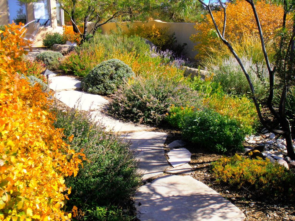 Pf Changs Albuquerque for a Traditional Landscape with a Xeriscape and Waterwise Landscapes by Waterwise Landscapes Incorporated