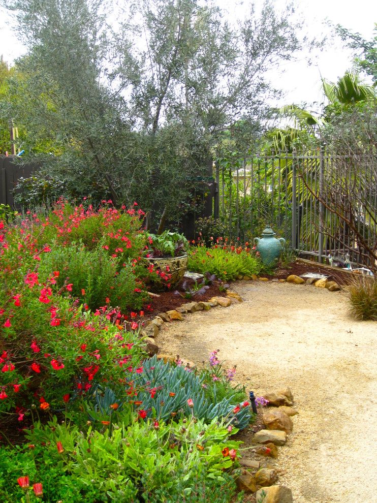 Pink Sands Bahamas for a Mediterranean Landscape with a Decomposed Granite and Natural California Style Garden by Shirley Bovshow of Edenmakersblog.com by Shirley Bovshow