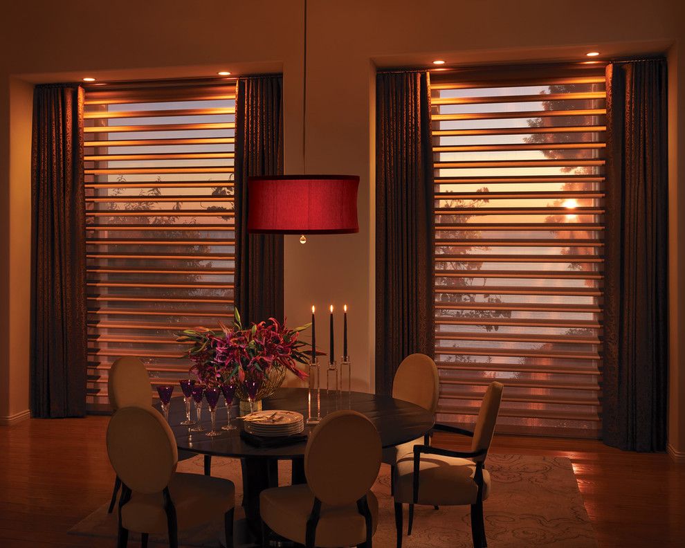 Pirouettes for a Contemporary Dining Room with a Pirouette and Hunter Douglas Pirouette by Frisco Windowear