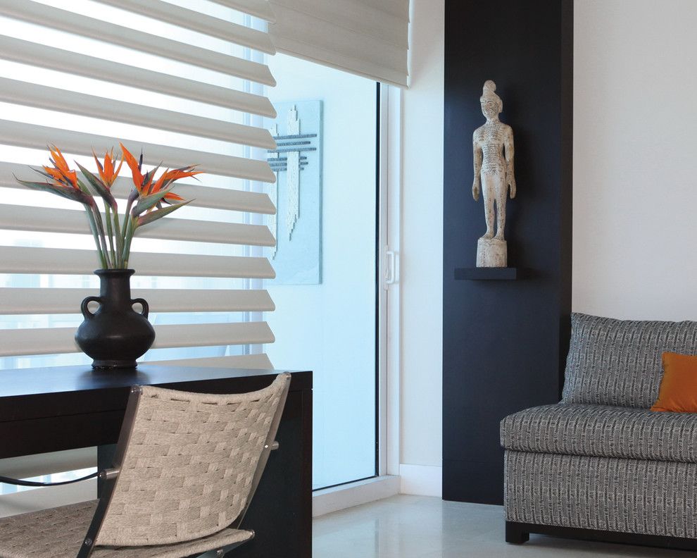 Pirouettes for a Contemporary Home Office with a Pirouette and Hunter Douglas Pirouette by Tri City Blinds