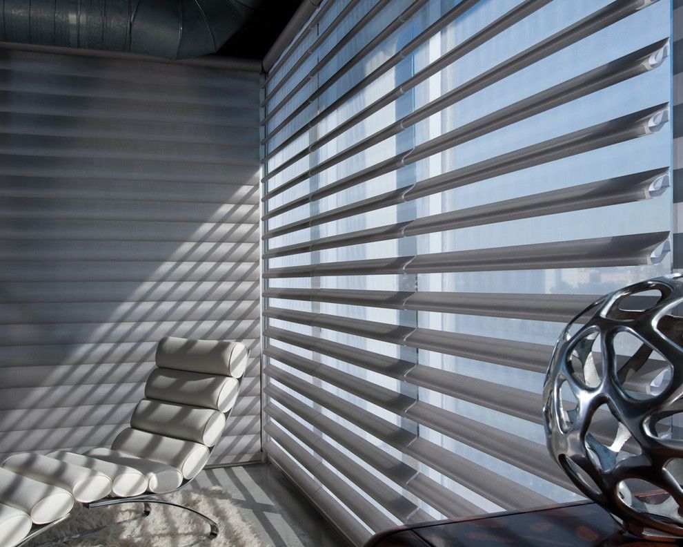 Pirouettes for a Modern Home Office with a Window Covering and Hunter Douglas Pirouette by Tri City Blinds