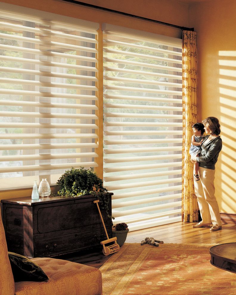 Pirouettes for a Transitional Living Room with a Hunter Douglas and Hunter Douglas Pirouette by Tri City Blinds