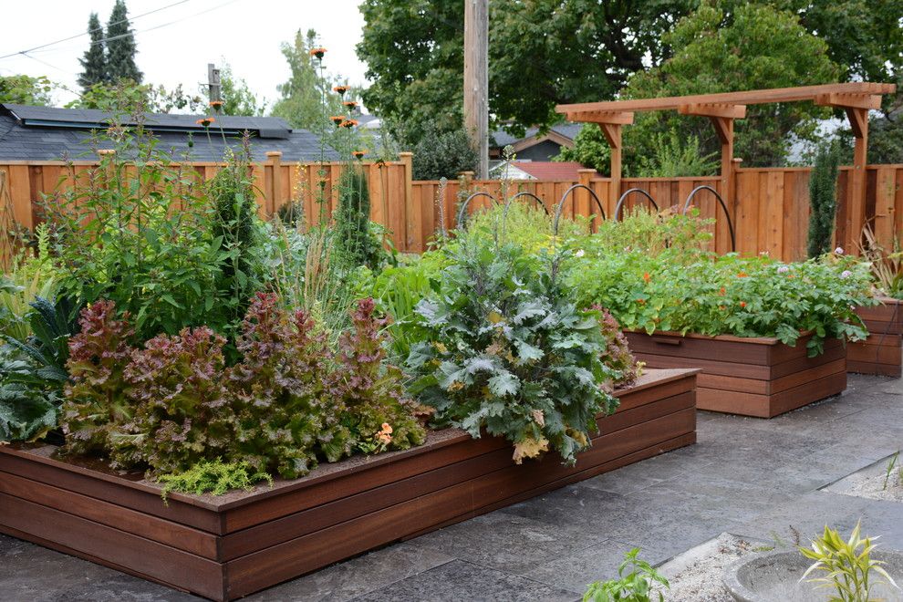 Planting Basil for a Transitional Landscape with a Lettuce and Raised Vegetable / Ornamental Garden by Glenna Partridge Garden Design