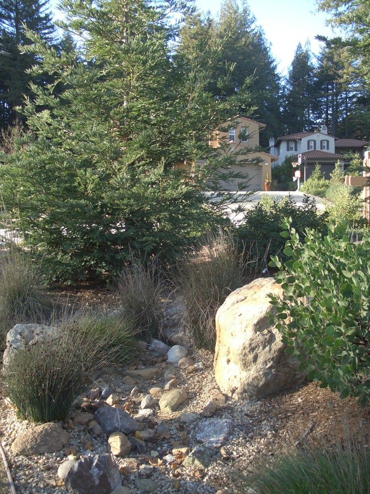 Planting Wildflowers for a Mediterranean Landscape with a Natural Stone Veneer and Andrews Residence by Wildflower Landscape Design