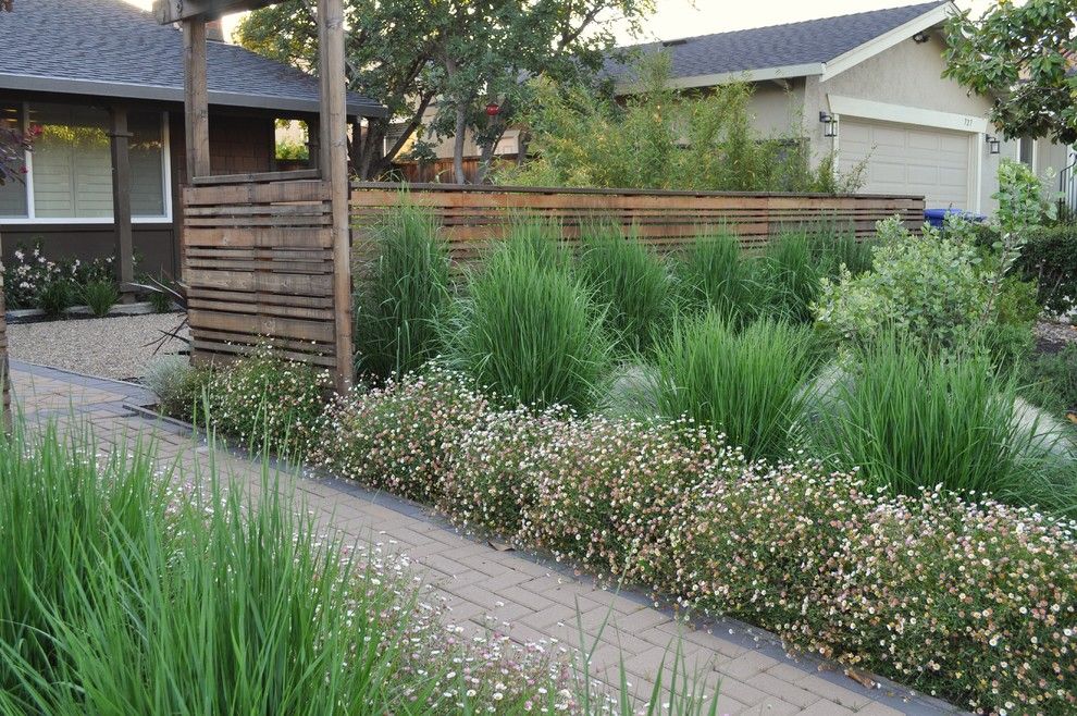 Proflower for a Asian Landscape with a Natural and Gravel Courtyard by Huettl Landscape Architecture