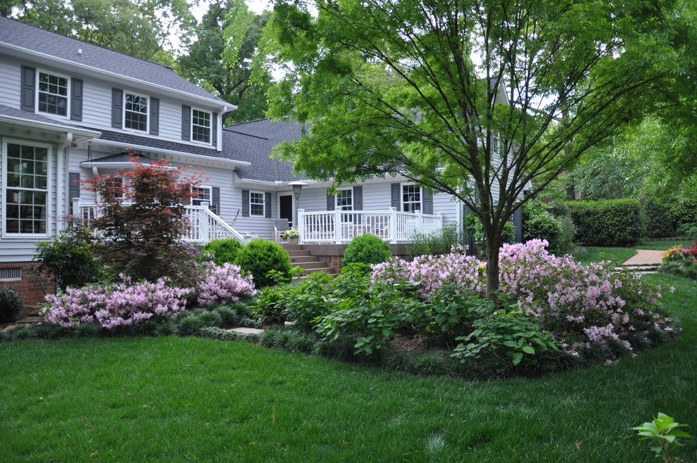 Proflower for a Traditional Landscape with a Deck and Rejuvenated Backyard by the Collins Group/jdp Design