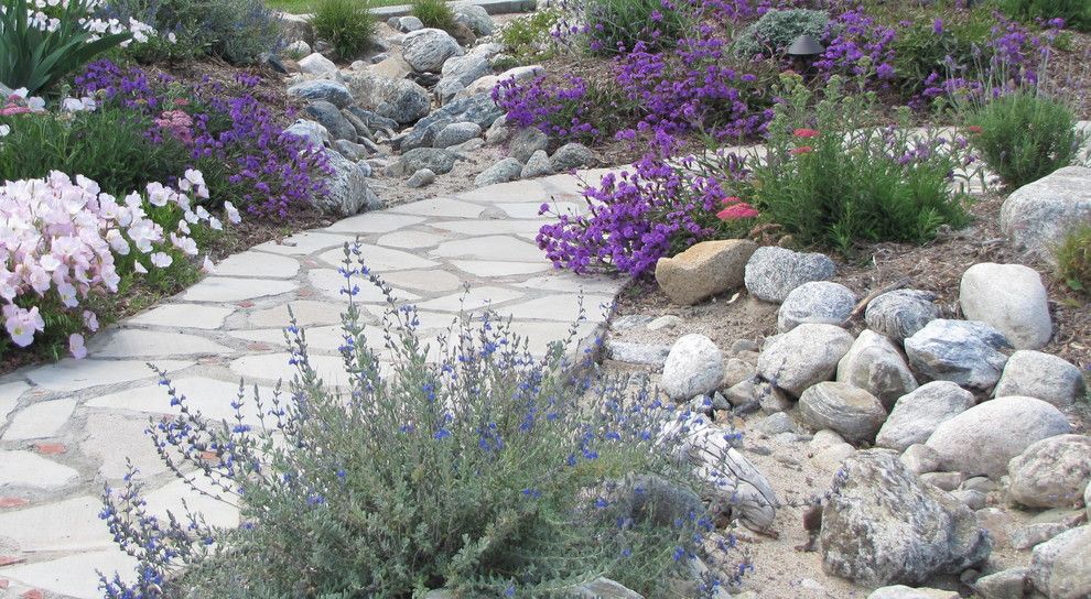 Providence at Brier Creek for a Mediterranean Landscape with a Habitat and Dry Stream Bed Directs Drainage During Rainy Season by Jean Marsh Design