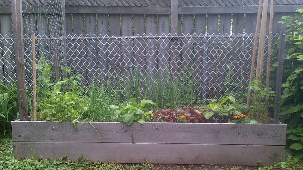 Raspberry Trellis for a  Landscape with a Urban Farm and Ahof Raised Bed Vegetable Gardens by at Home Organic Farms