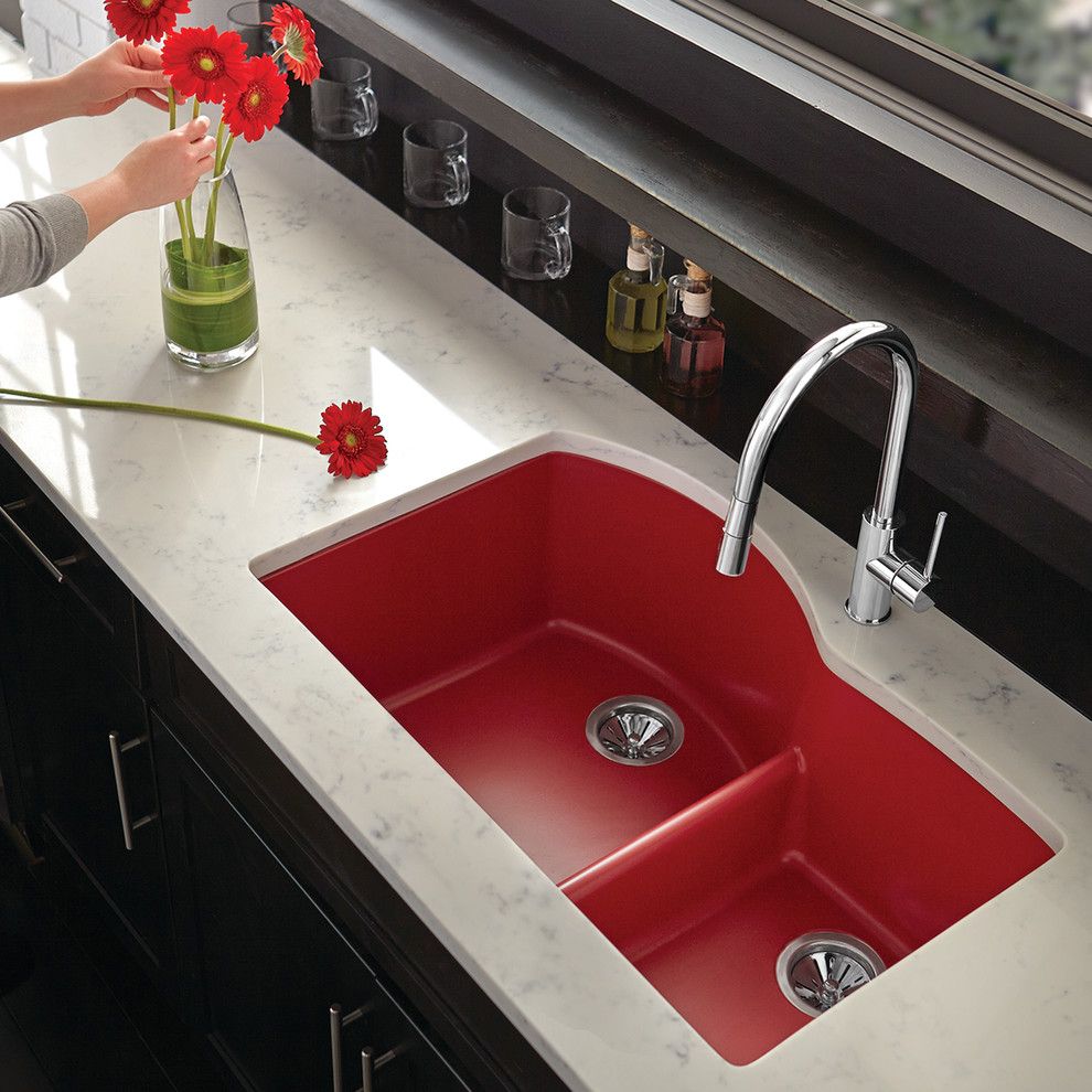 Redx for a Contemporary Spaces with a Contemporary and Elkay Sinks and Faucets by Elkay Sinks and Faucets