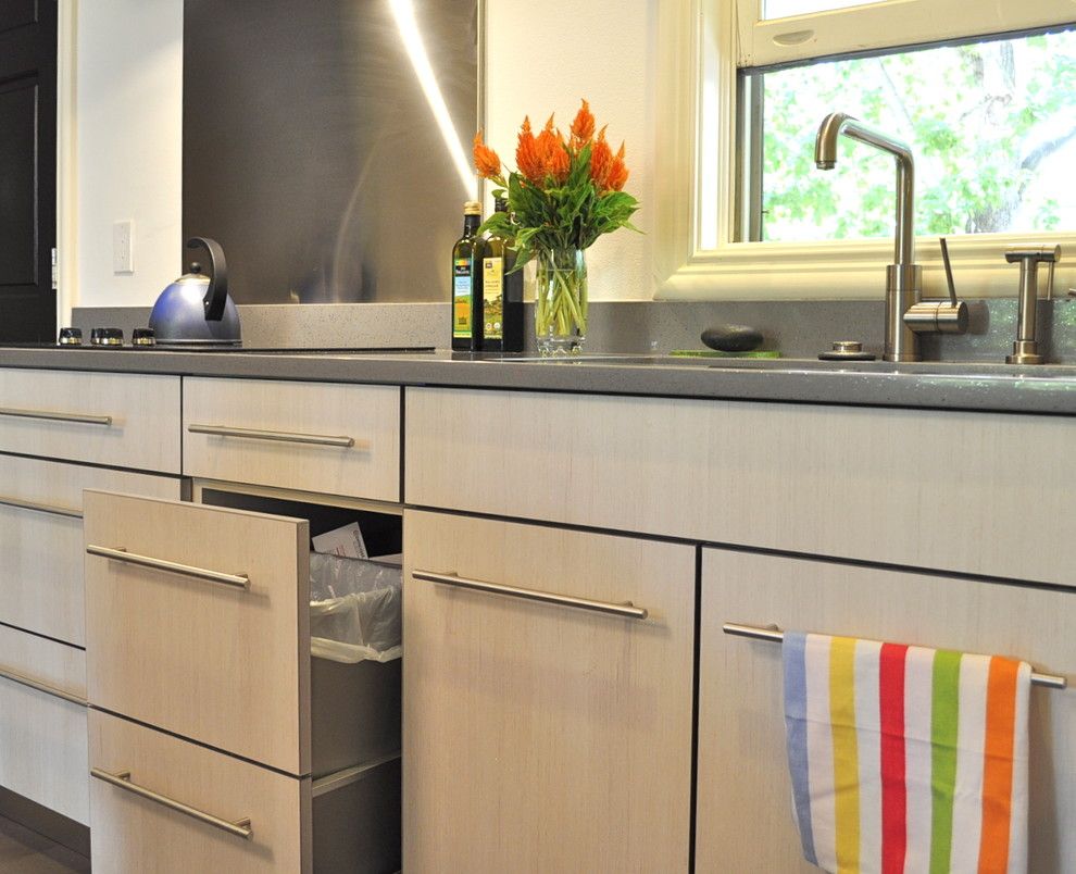 Removing Garbage Disposal for a Contemporary Spaces with a Open Kitchen to Den and Colorful Condo by Red Pepper Design & Cabinetry