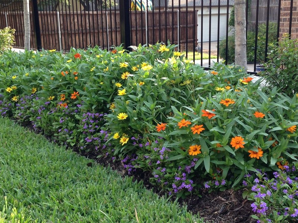 Roundtree for a Traditional Landscape with a Plants and East Dallas Home by Roundtree Landscaping, Inc