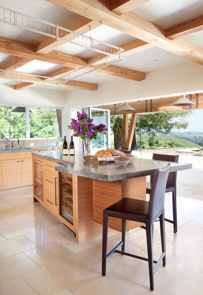 San Francisco Exploratorium for a Contemporary Kitchen with a Contemporary and Orinda Residence by Applegate Tran Interiors