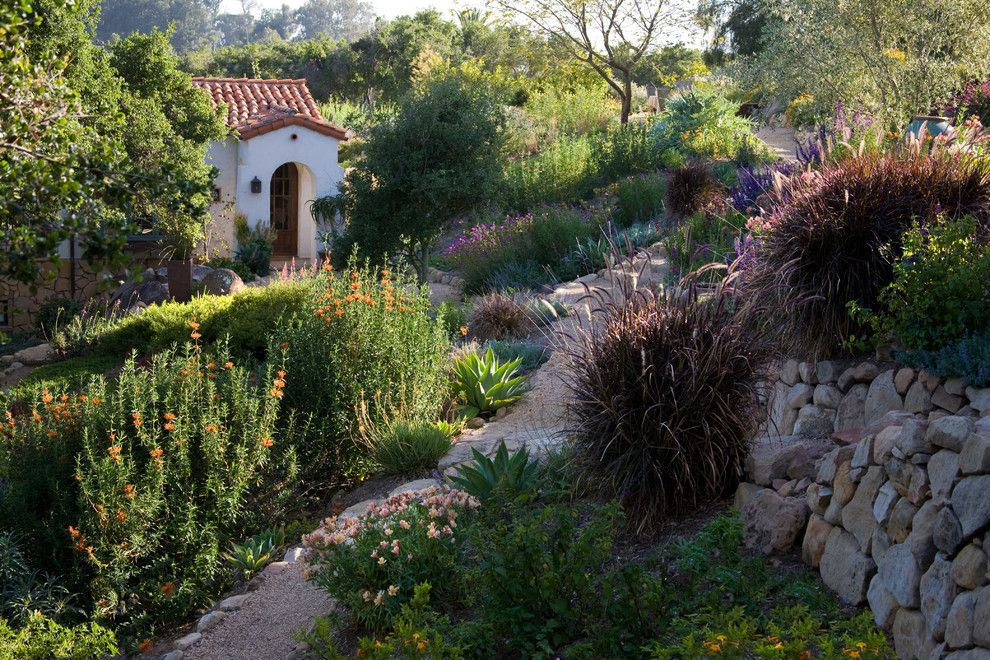 Santa Barbara Back Page for a Mediterranean Landscape with a Pea Gravel Path and Grace Design Associates by Margie Grace   Grace Design Associates