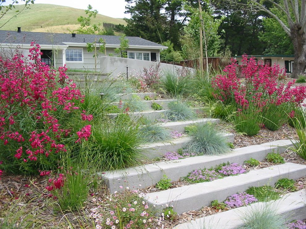 Santa Barbara Presidio for a Contemporary Landscape with a Entry and Concrete Garden Steps by Huettl Landscape Architecture