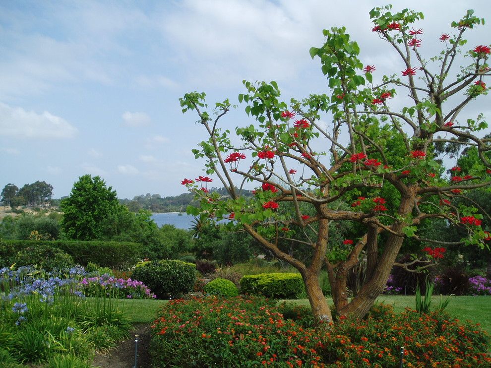 Santa Fe Botanical Garden for a Contemporary Landscape with a Water View and Contemporary Rancho Santa Fe Landscape   Xeriscape by the Design Build Company