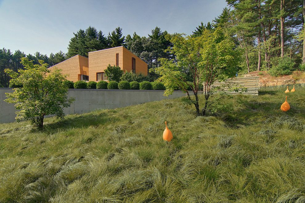 Scotts Lawn for a Contemporary Landscape with a Patio and Page Road Residence by C2 | Studio Landscape Architecture