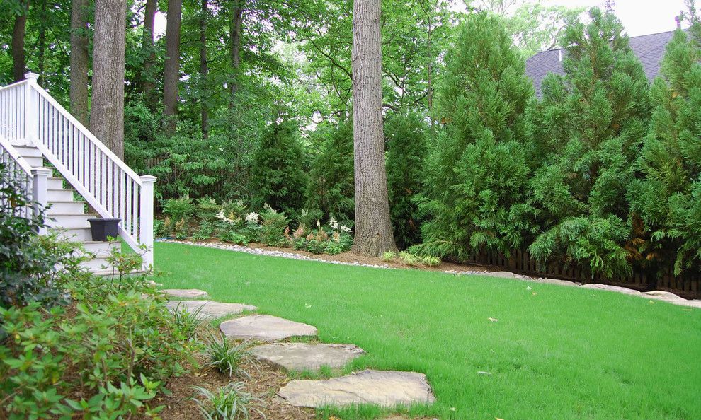 Scotts Lawn for a Traditional Landscape with a Natural and Bethesda Residence by Molly Scott Exteriors, Llc