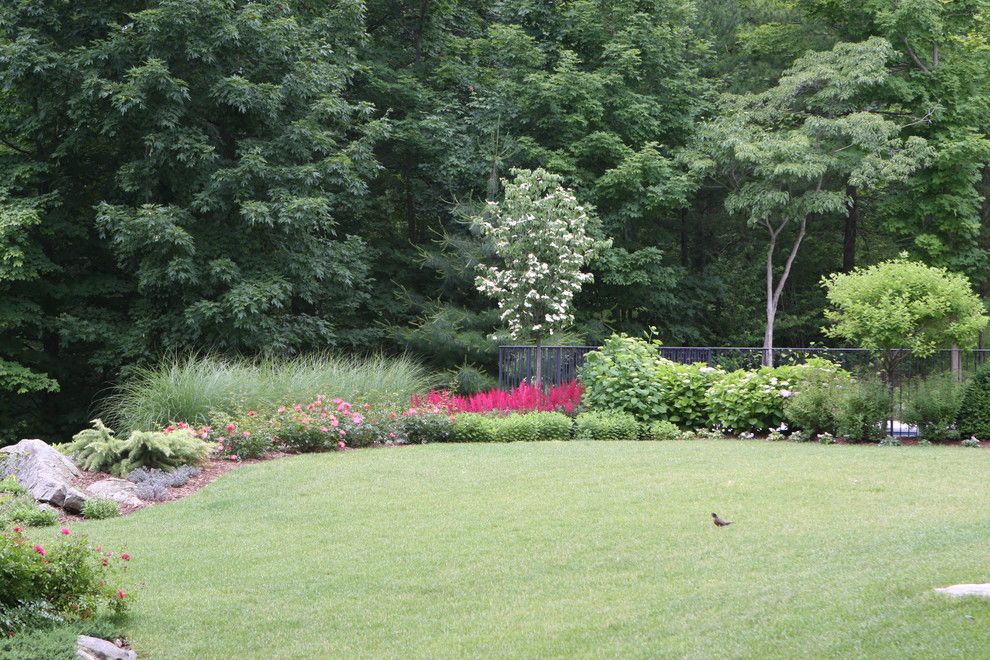 Scotts Lawn for a Traditional Landscape with a Seaside Garden and Scotts Cove by Rock Spring Design Group Llc (David Verespy, Asla)