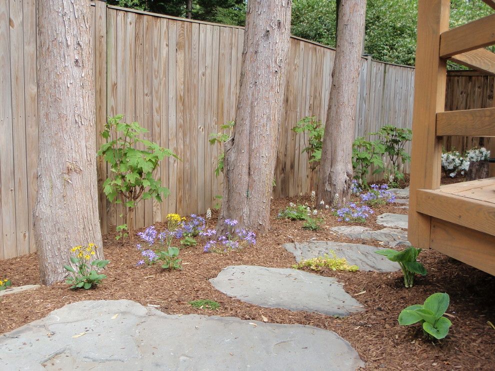 Scotts Lawn for a Traditional Landscape with a Va and Arlington Residence by Molly Scott Exteriors, Llc