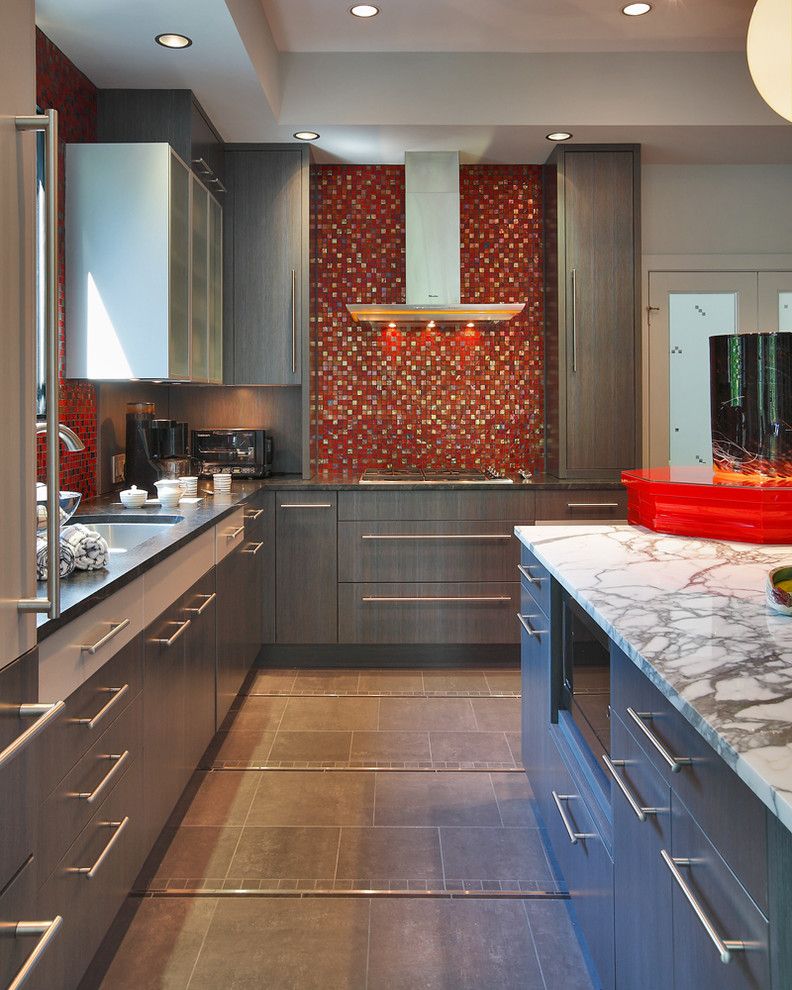 Summit Appliance for a Contemporary Kitchen with a Red Accents and Contemporary Colorful Kitchen by Jack Rosen Custom Kitchens