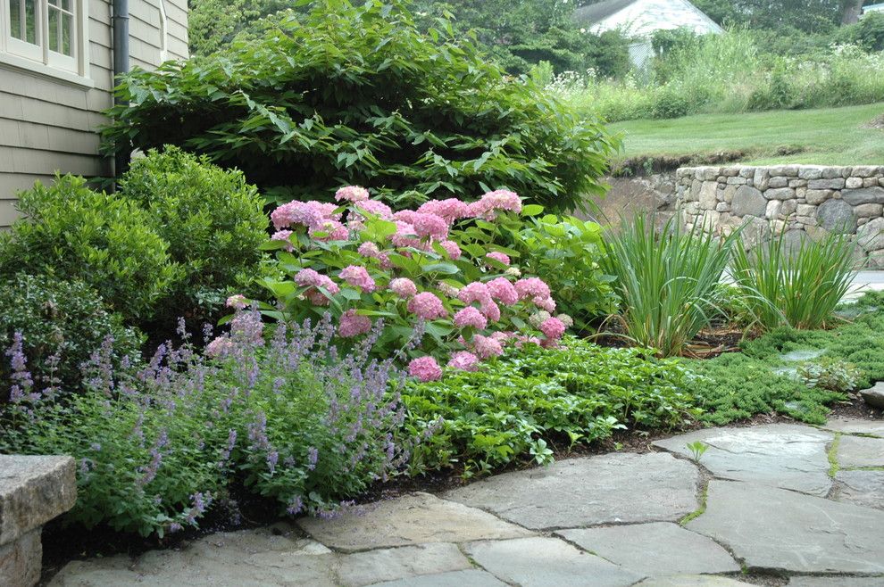 Sweet Ga Juke Joint for a Traditional Landscape with a Traditional and Entry Garden by Timothy Lee Landscape Design