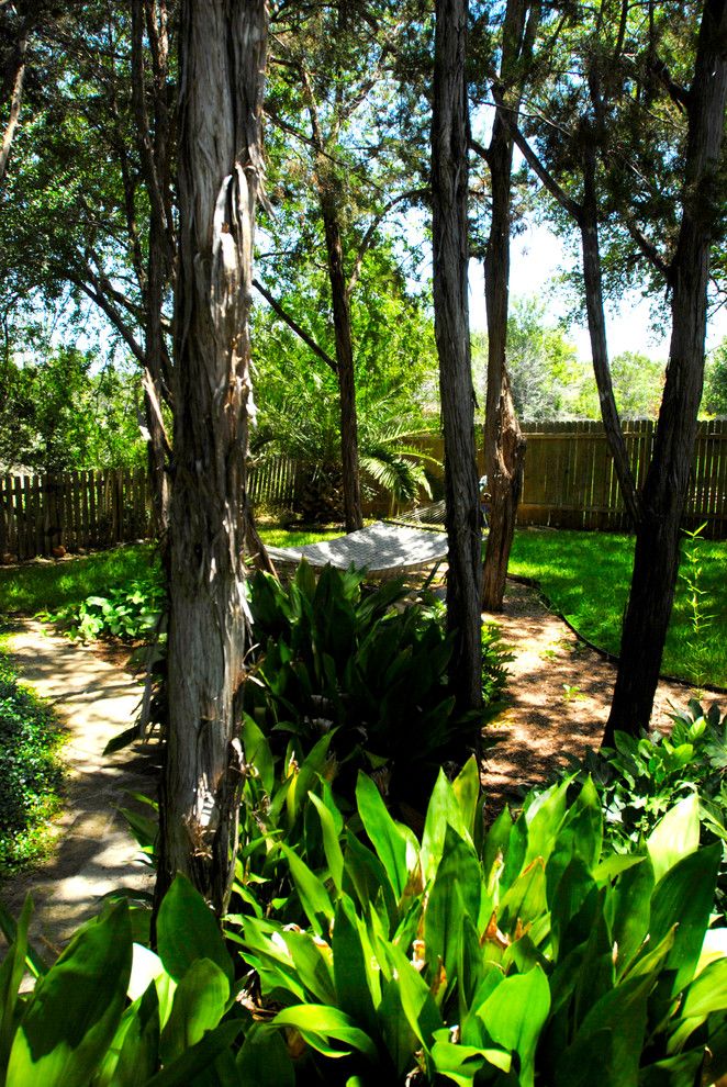 The Garage Brockton Ma for a Tropical Landscape with a Shaded Patio and My House:  Hidden Hideway, Covered with Bamboo and Color by Kara Mosher