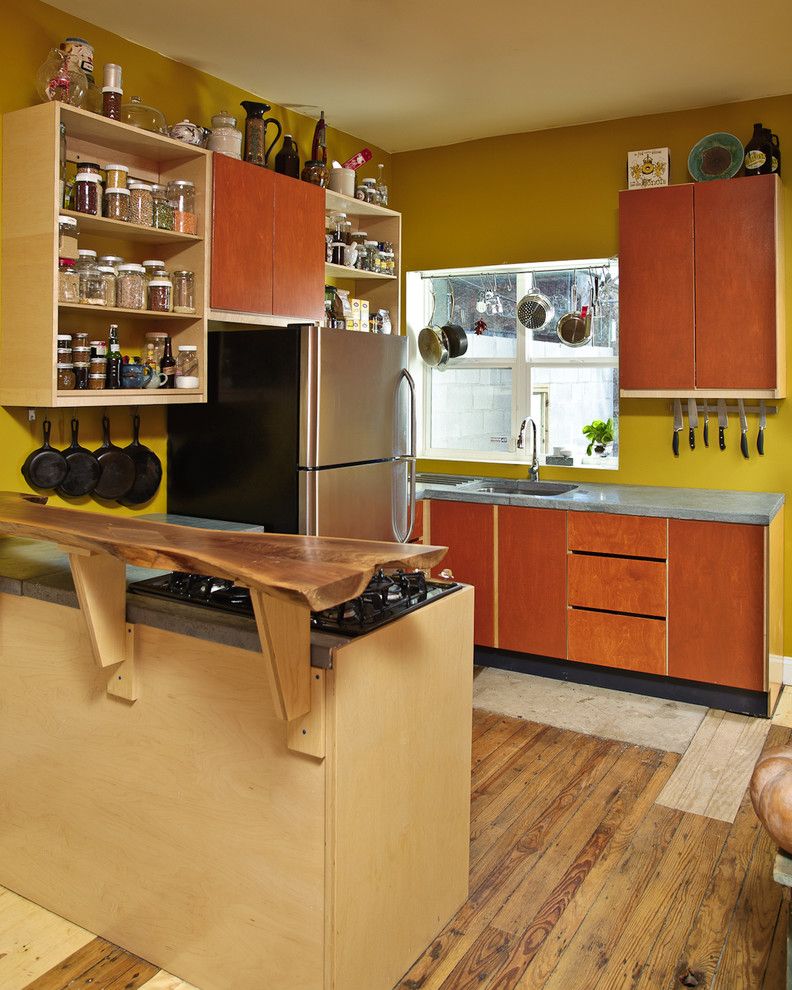 The Iron Giant Cast for a Eclectic Kitchen with a Open Shelves and Martha Street by Craftwork