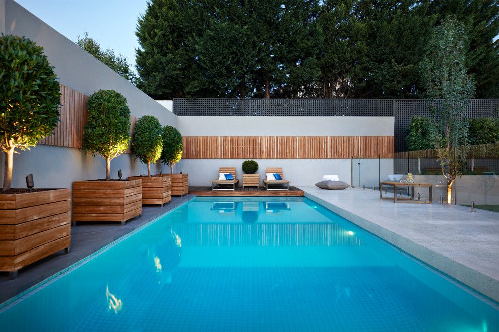 Timber Wolf Size for a Contemporary Pool with a Glass Pool Fence and Caulfield North by Nathan Burkett Design