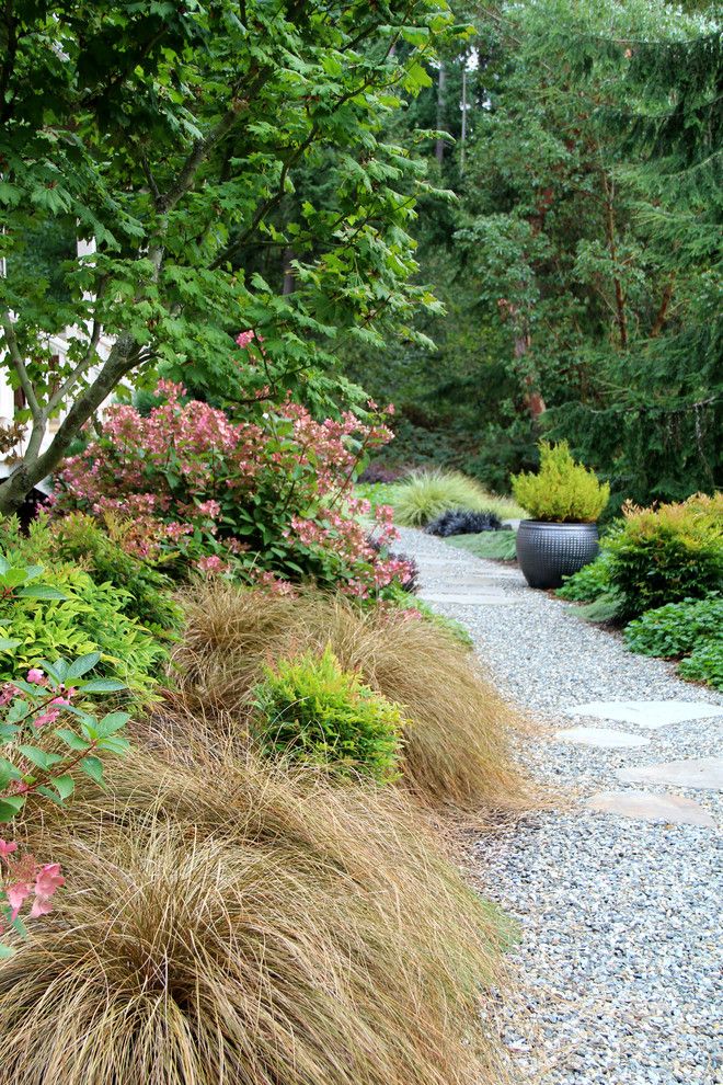 Tony Brown Chevrolet for a Contemporary Landscape with a Bluestone Stepping Stones and Suhr Brown, Bainbridge Island, Wa by Bliss Garden Design