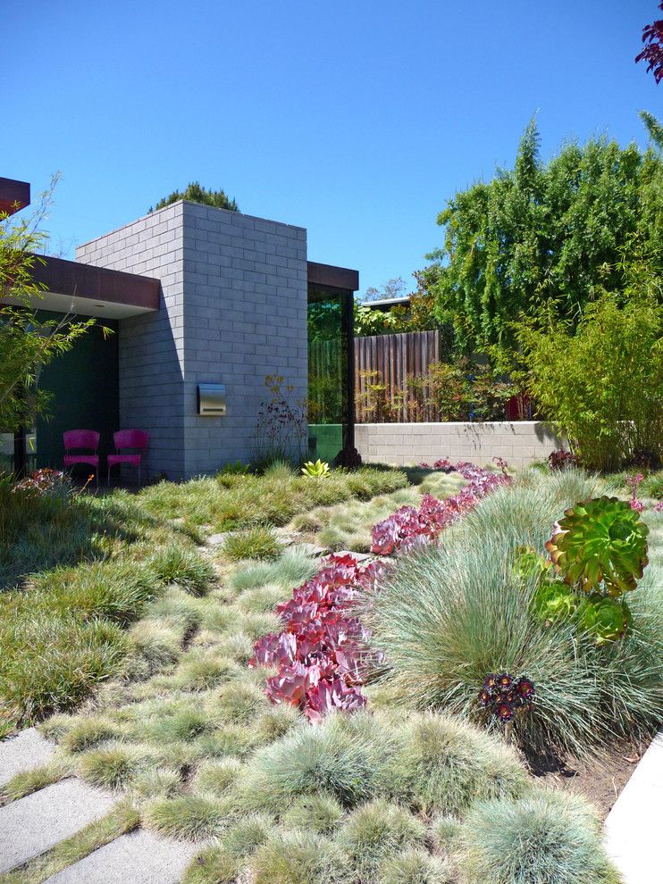 Truckee Meadows Water for a Contemporary Landscape with a Shrubs and Jack Kiesel by Kiesel Design   Landscape Architecture