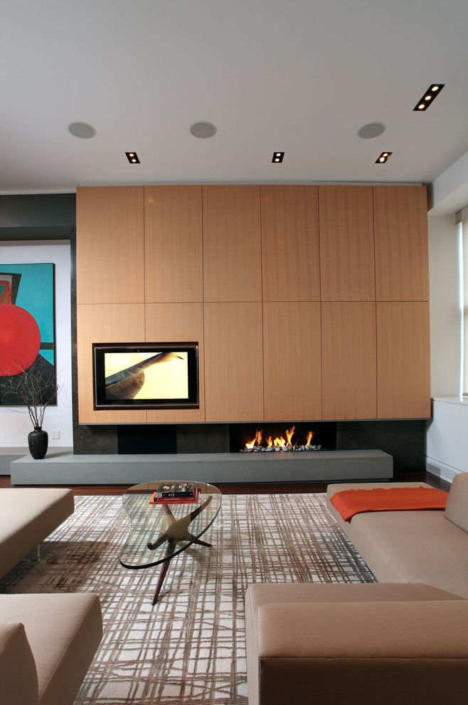 United Artist Laguna for a Contemporary Living Room with a Fireplace and Soho Loft by Jae Chang