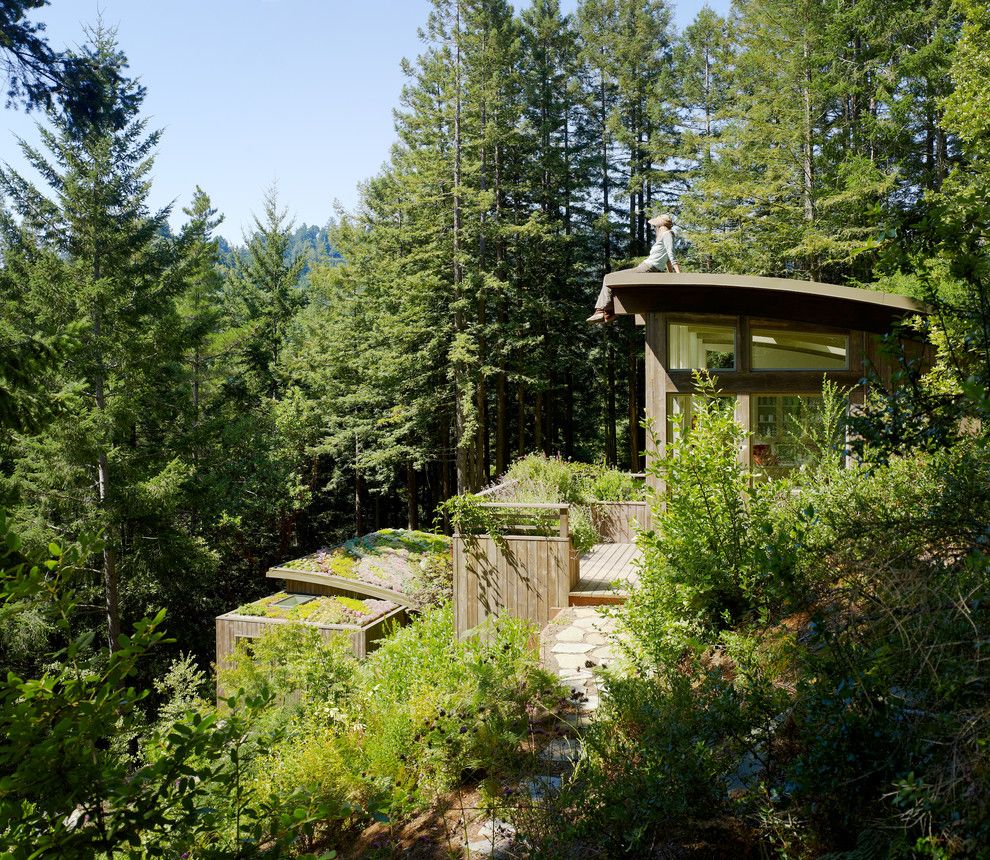 Valley View Theater for a Contemporary Shed with a Arched Roof and Mill Valley Cabins by Feldman Architecture, Inc.