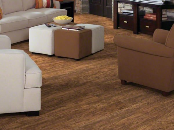 Versalock for a Traditional Living Room with a Shaw Floors and Shaw Avaitor Plank : Earhart Brown by Floor Mania