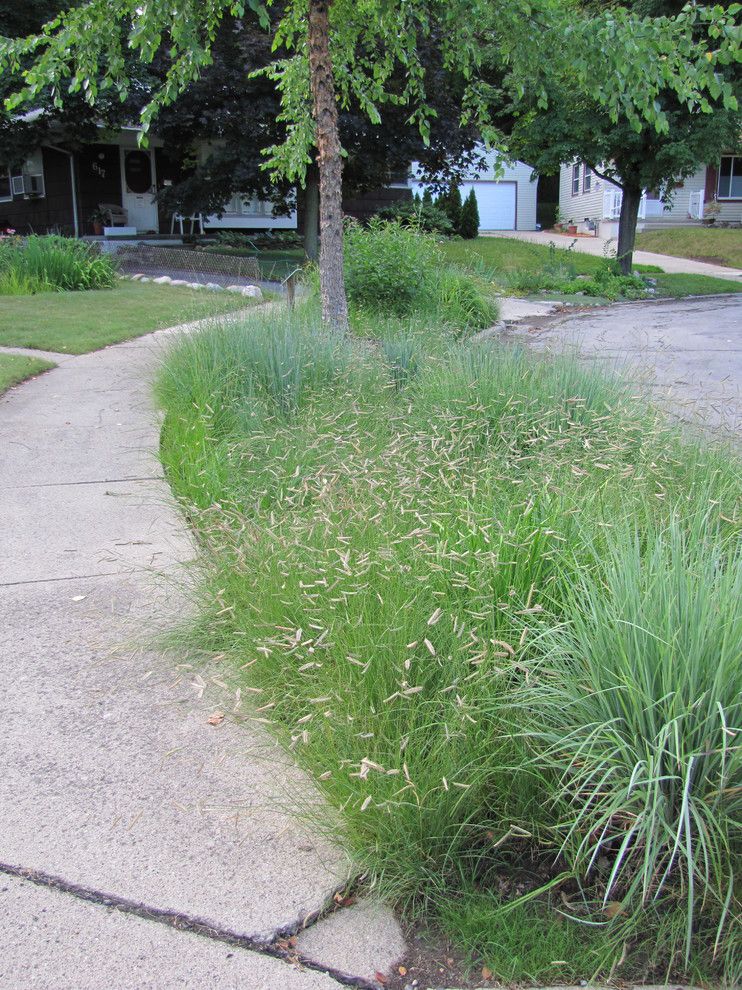 Warm Season Grasses for a Contemporary Landscape with a Prairie Grasses and Home Landscape Using Only Native Plants by Creating Sustainable Landscapes, Llc