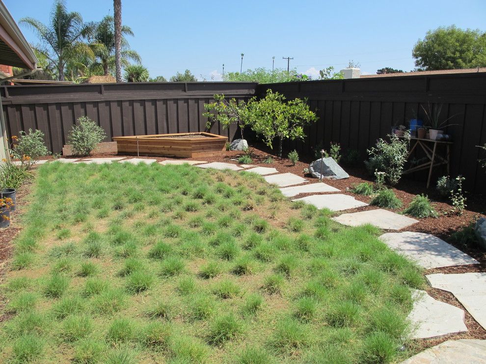 Warm Season Grasses for a Eclectic Landscape with a Buffalo Grass and Ocean Friendly Garden in Clairmont, San Diego by Falling Waters Landscape