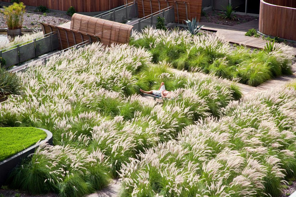 West Chester Lawn and Garden for a Industrial Landscape with a Wood Slat Railing and M Central by Dale Jones Evans Pty Ltd Architecture