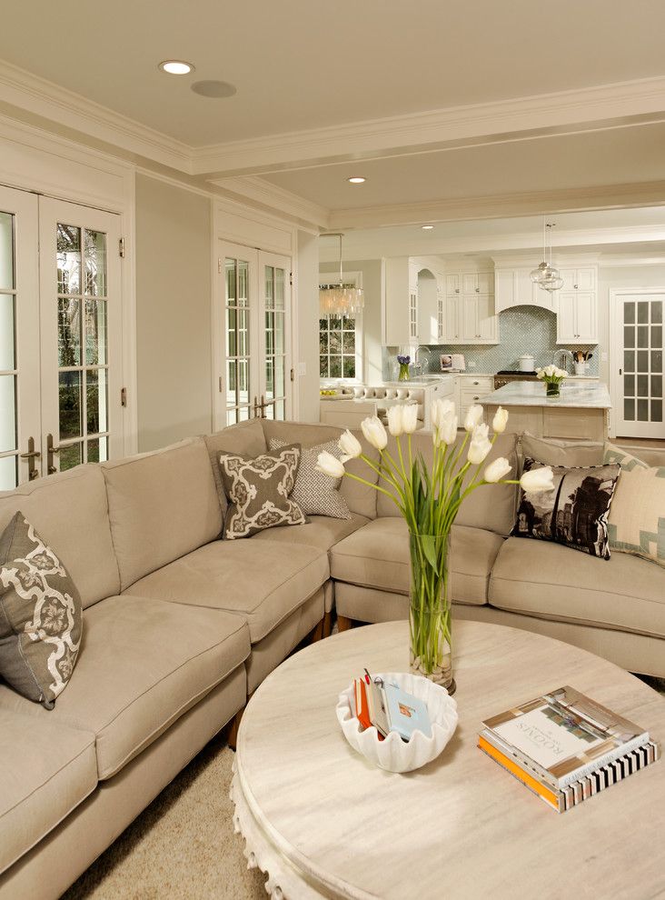 Wolseley Industrial Group for a Traditional Living Room with a Beige Shag Rug and Deluxe in Alexandria by Erin Hoopes