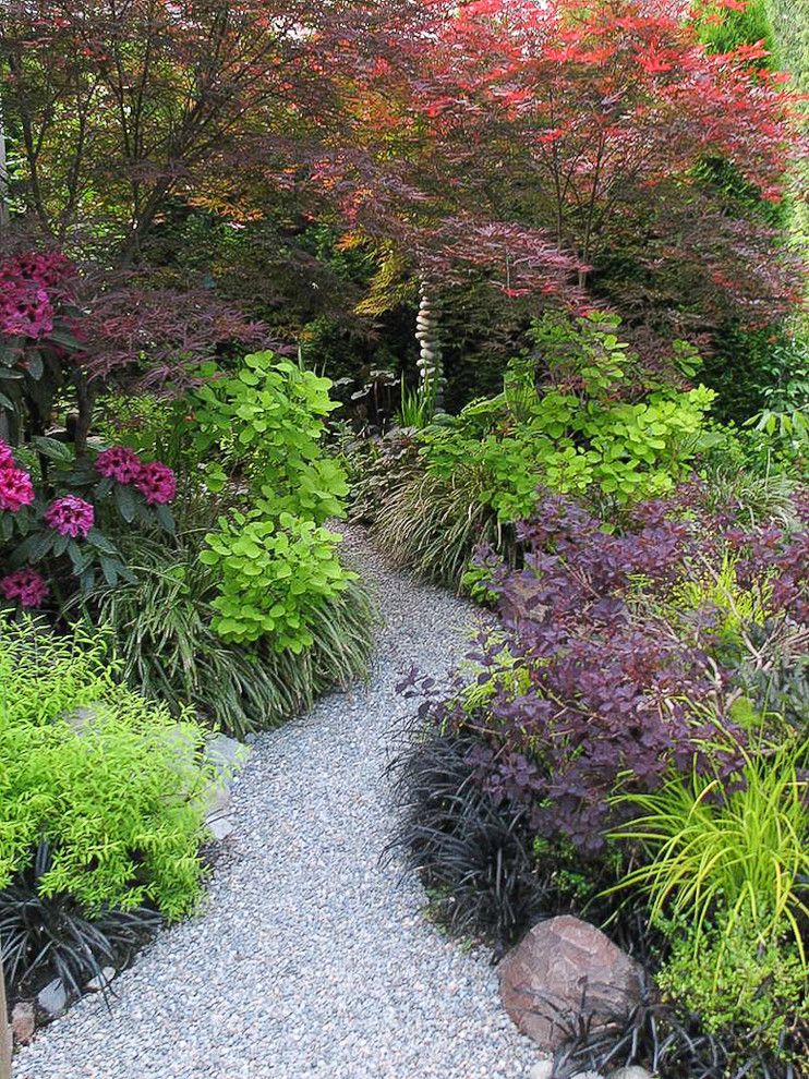 Woodland Hills Utah for a Traditional Landscape with a Acer Palmatum Beni Otake and Great Plant Combinations by Alyson Ross Markley