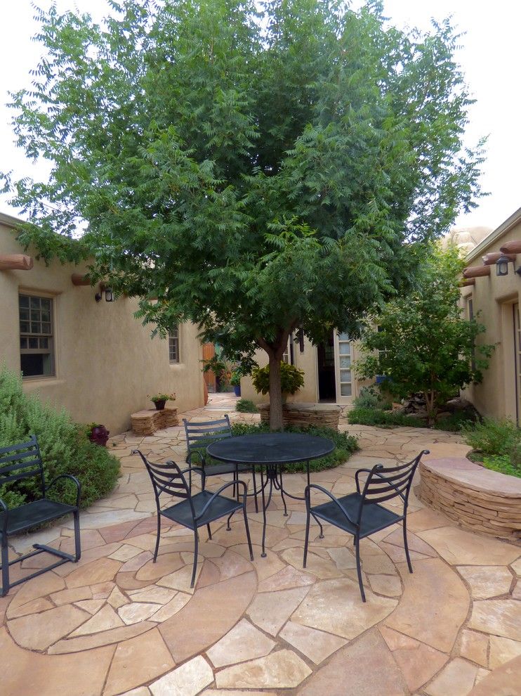 Xeric for a Southwestern Spaces with a Chinese Pistache and Xeric Courtyard by Waterwise Landscapes Incorporated